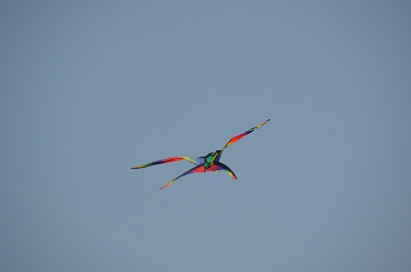 bray dunes 2018 164.JPG